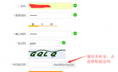 螞蟻分類短信接口替換