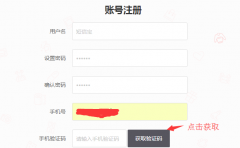 DsMallB2B商城系統短信接口替換