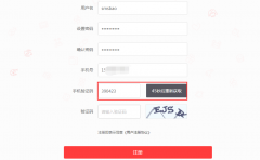 DSShop單店鋪商城系統新增短信寶短信接口